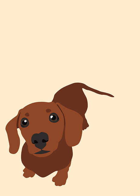 ANIMAL ART DACHSHUND (SAUSAGE DOG)