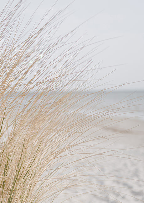 COSTAL & LANDSCAPE ART