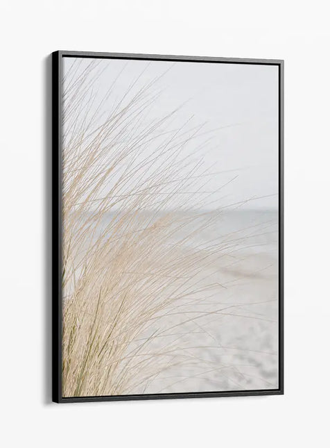 COSTAL & LANDSCAPE ART