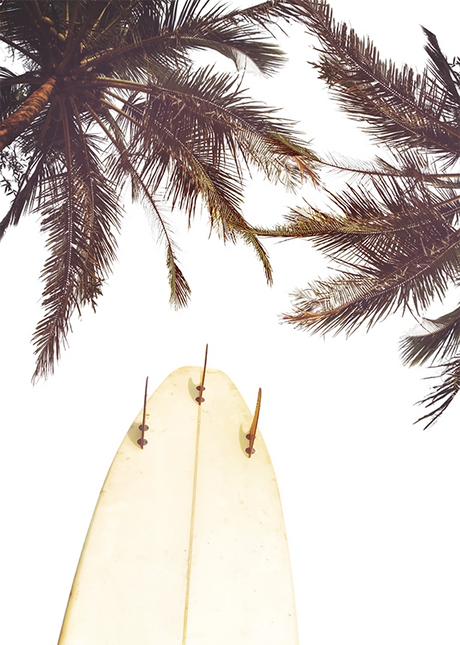 COSTAL & LANDSCAPE ART