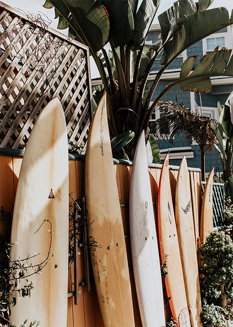 COSTAL & LANDSCAPE ART