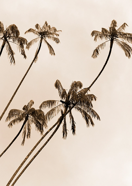 COSTAL & LANDSCAPE ART