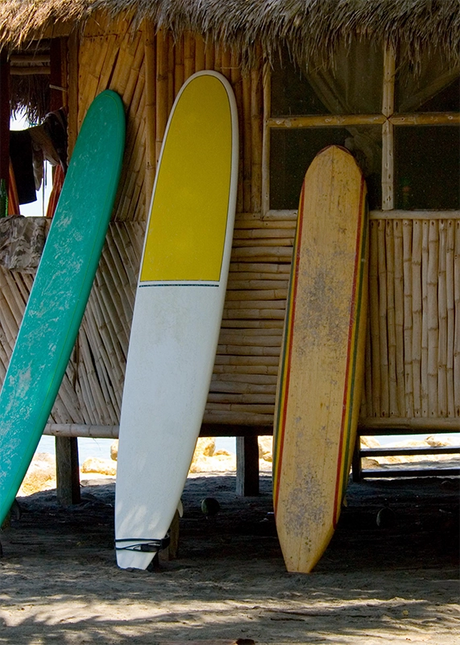 COSTAL & LANDSCAPE ART