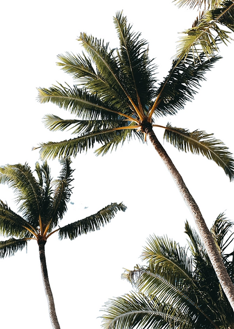 COSTAL & LANDSCAPE ART