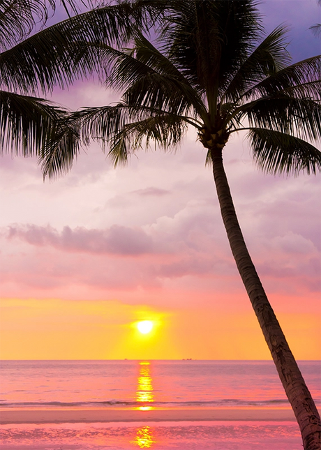 COSTAL & LANDSCAPE ART