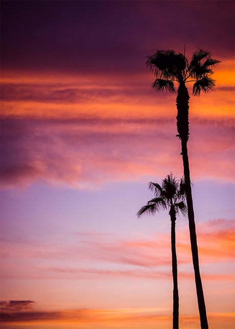 COSTAL & LANDSCAPE ART