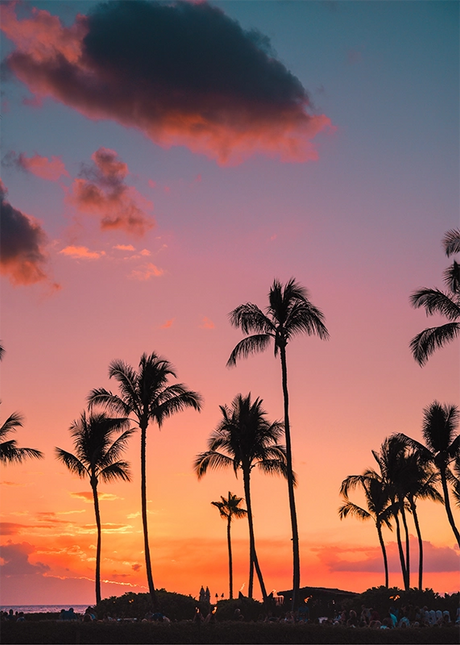 COSTAL & LANDSCAPE ART