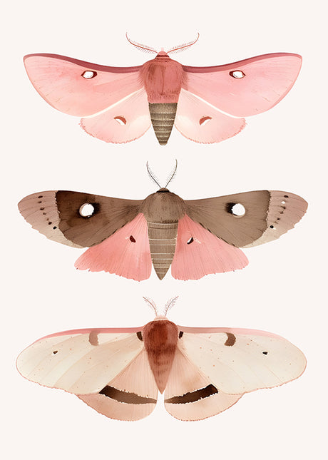 ANIMAL ART BUTTERFLY'S