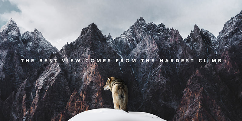 INSPIRATIONAL- MOTIVATIONAL ART