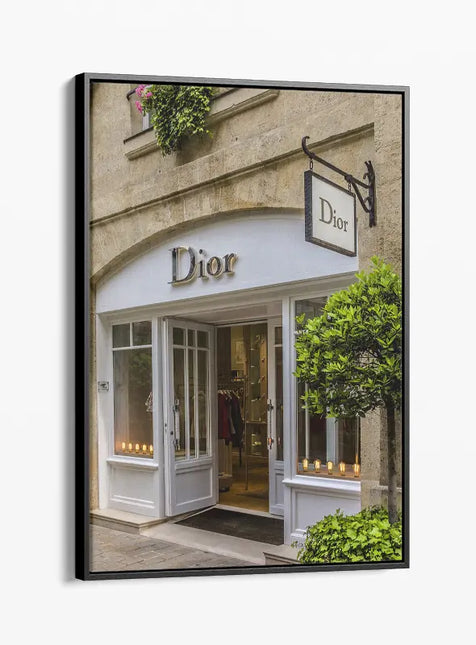 FASHION BRAND DIOR SHOP FRONT DOORS