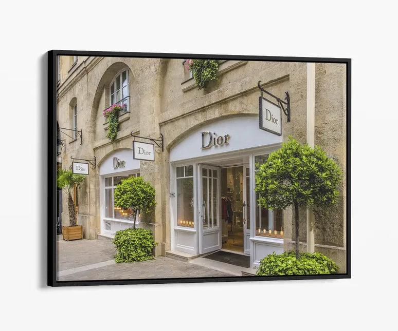 FASHION BRAND DIOR SHOP FRONT DOORS