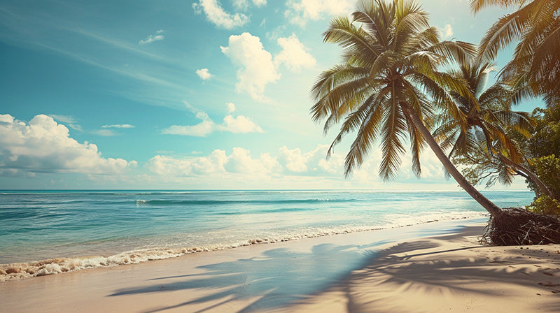 COSTAL & LANDSCAPE ART