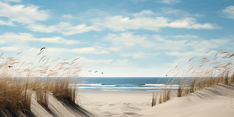 COSTAL & LANDSCAPE ART