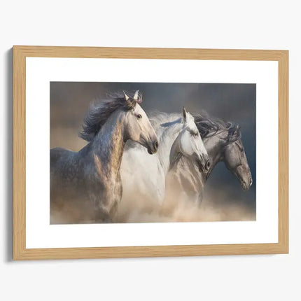 ANIMAL ART HORSES