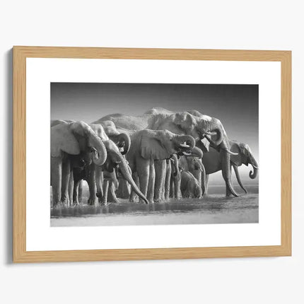 ANIMAL ART ELEPHANTS