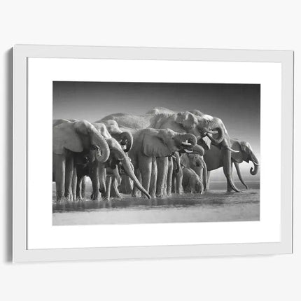 ANIMAL ART ELEPHANTS