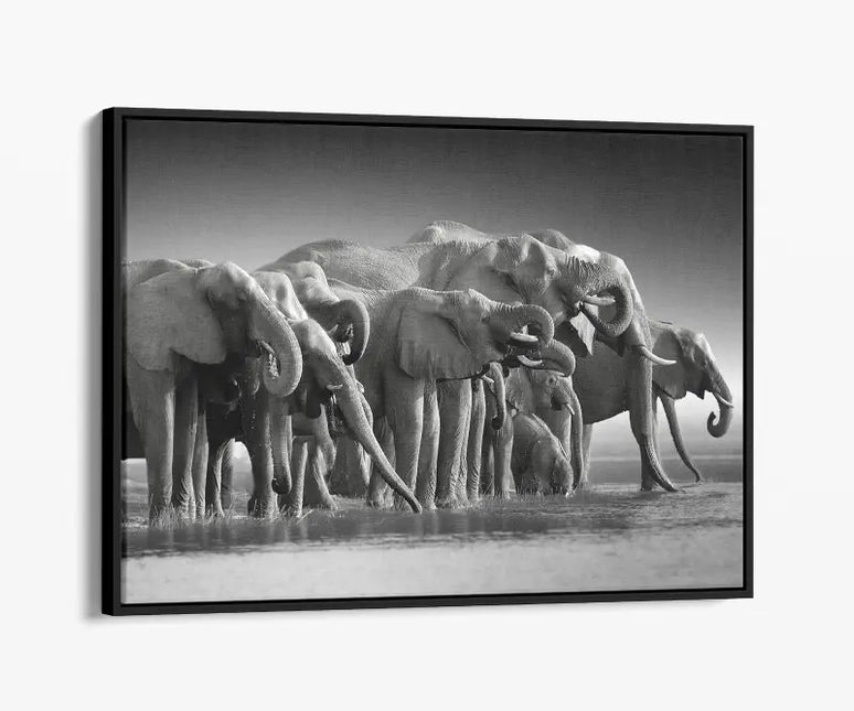 ANIMAL ART ELEPHANTS