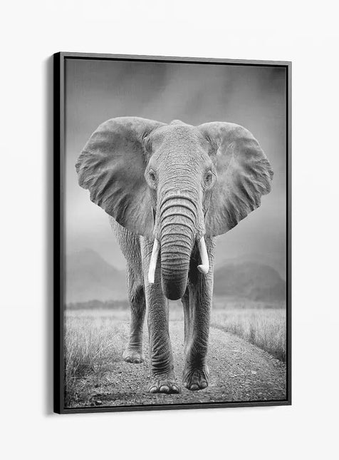 ANIMAL ART ELEPHANTS