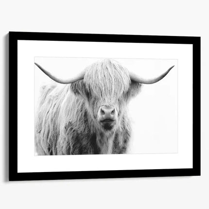 ANIMAL ART HIGHLAND COW