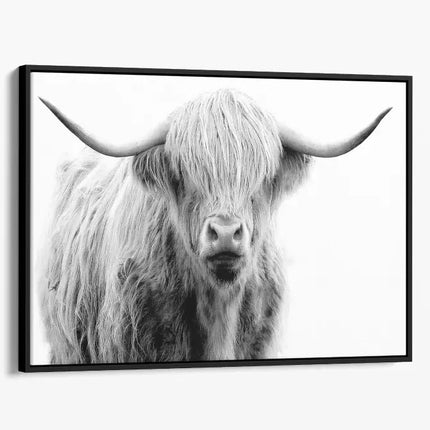 ANIMAL ART HIGHLAND COW