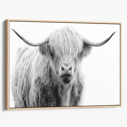 ANIMAL ART HIGHLAND COW