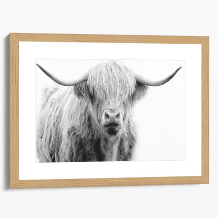 ANIMAL ART HIGHLAND COW