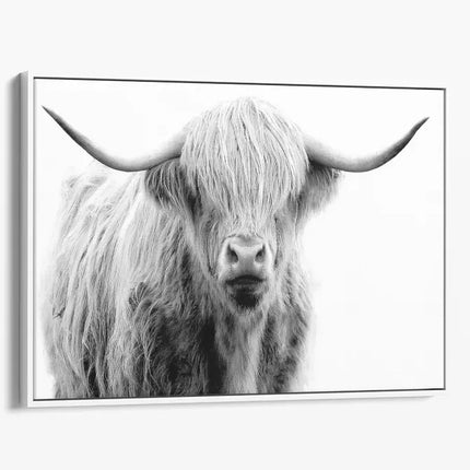 ANIMAL ART HIGHLAND COW