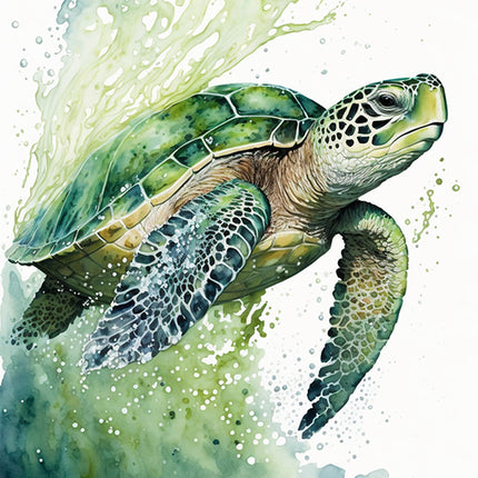 ANIMAL ART TURTLE