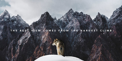 INSPIRATIONAL- MOTIVATIONAL ART