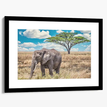 ANIMAL ART ELEPHANT