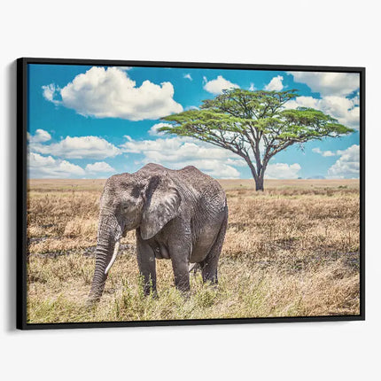 ANIMAL ART ELEPHANT