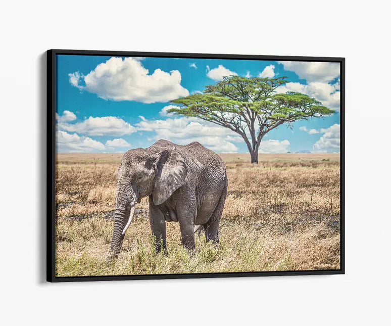 ANIMAL ART ELEPHANT