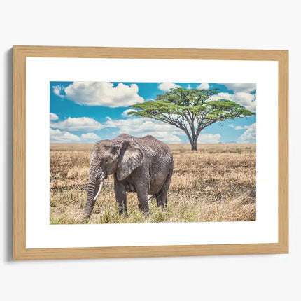 ANIMAL ART ELEPHANT