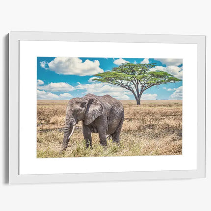 ANIMAL ART ELEPHANT