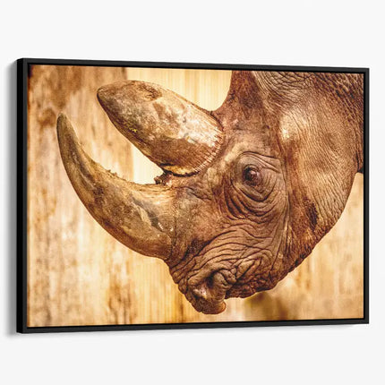 ANIMAL ART RHINOCEROS