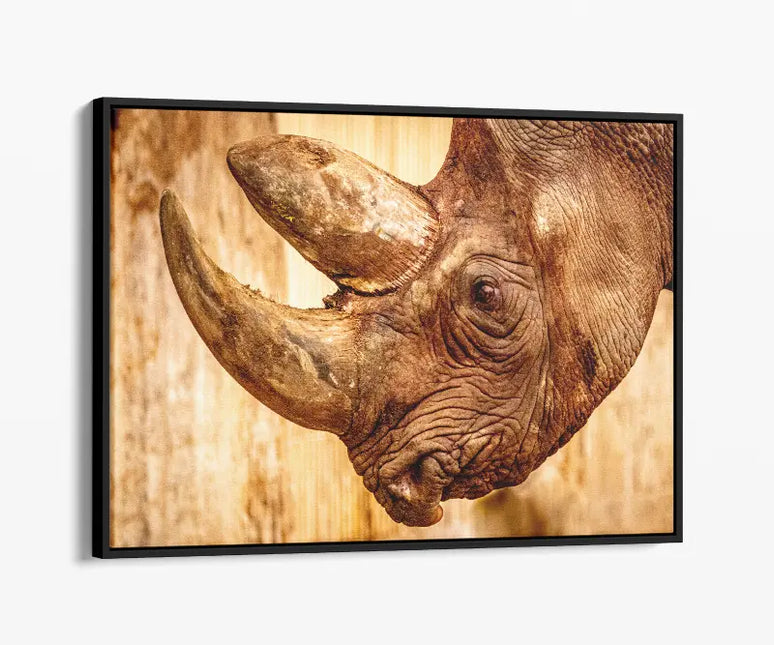 ANIMAL ART RHINOCEROS