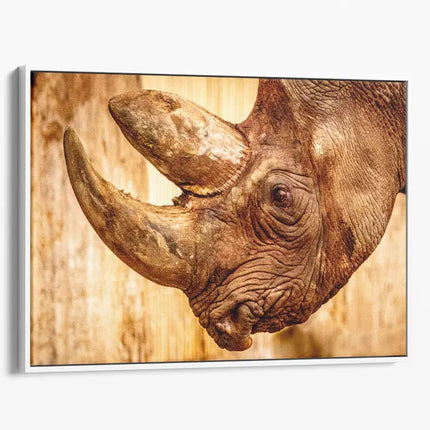 ANIMAL ART RHINOCEROS