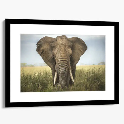 ANIMAL ART ELEPHANT