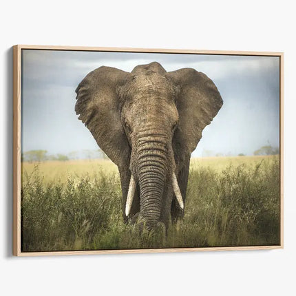 ANIMAL ART ELEPHANT