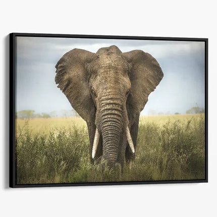 ANIMAL ART ELEPHANT