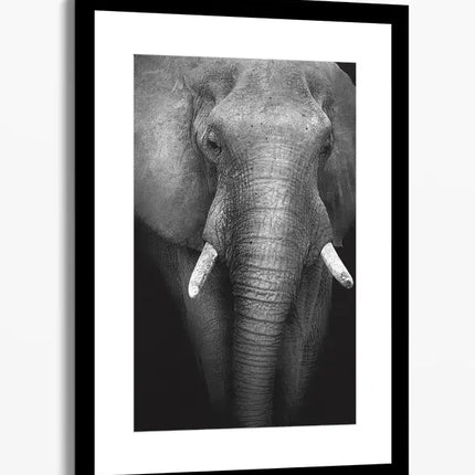 ANIMAL ART ELEPHANT