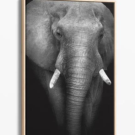 ANIMAL ART ELEPHANT