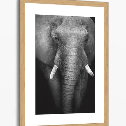 ANIMAL ART ELEPHANT