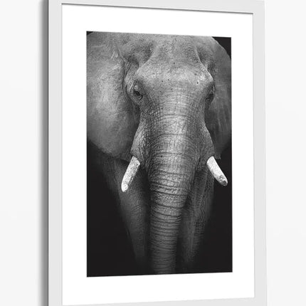 ANIMAL ART ELEPHANT