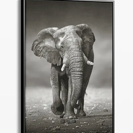 ANIMAL ART ELEPHANT