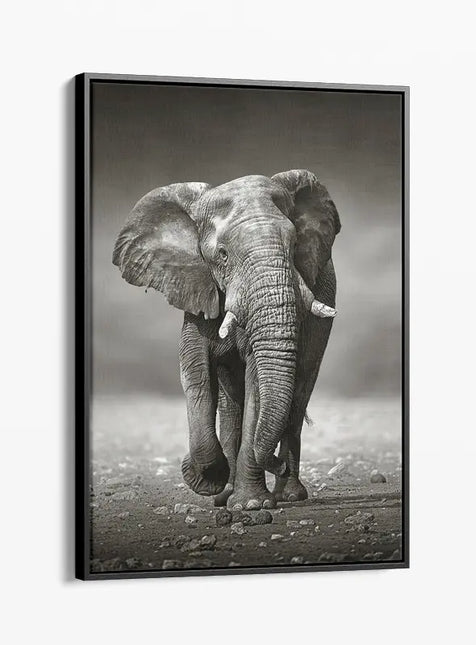 ANIMAL ART ELEPHANT