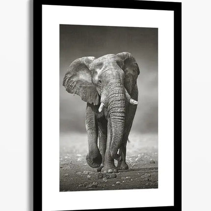 ANIMAL ART ELEPHANT