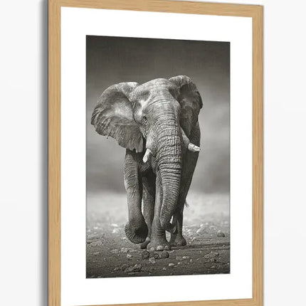 ANIMAL ART ELEPHANT