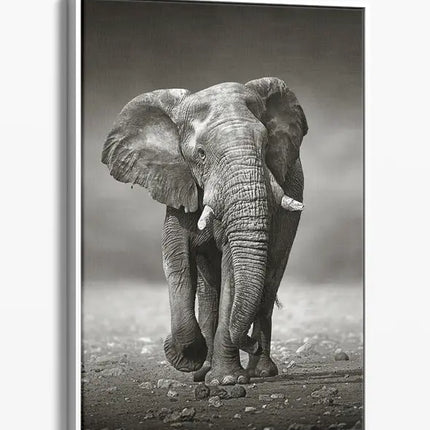 ANIMAL ART ELEPHANT