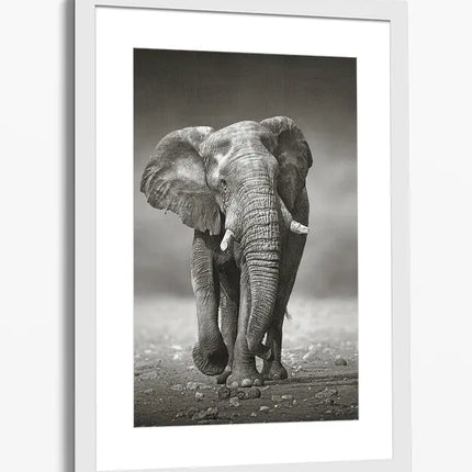 ANIMAL ART ELEPHANT